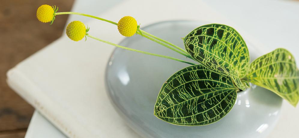 SACCO vase porcelain 01 - Image 7